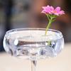 10/20/30Pcs Floating Floral Arrangement Holder Clear Floating Flower Display Stand Hydroponics Water Planting Flower Bowl Stem Holder Decoration