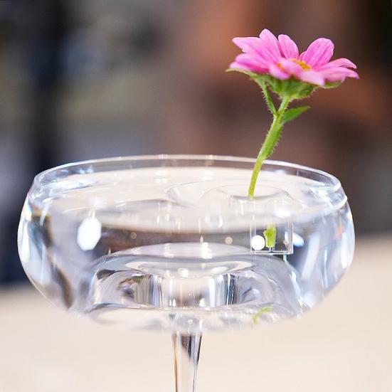 10/20/30Pcs Floating Floral Arrangement Holder Clear Floating Flower Display Stand Hydroponics Water Planting Flower