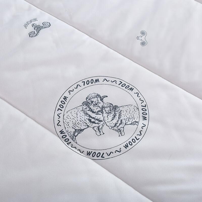 BWS All-Season Washable Polyester Duvet Insert, 200x230cm