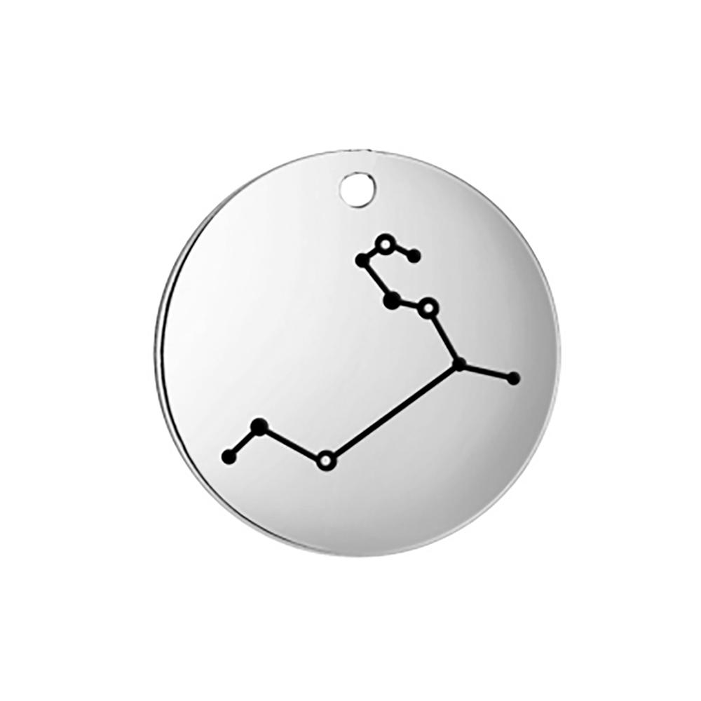 Stainless Steel Zodiac Charms for Jewelry Making Constellation DIY Pendants for Necklace Bracelet Keychain Earring