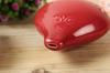 TNG Ocarina Musical Instrument [6 HolesAltoRed] High Class C Tone AC Single (with Strap) Ocarina Wind Orchestra Glaze Finish