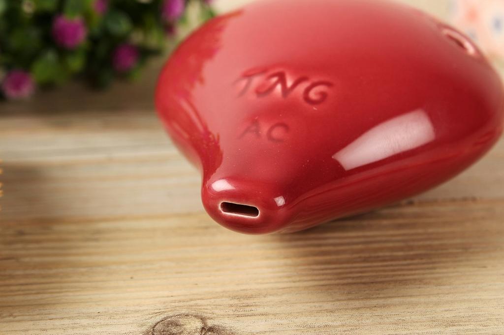 TNG Ocarina Musical Instrument [6 HolesAltoRed] High Class C Tone AC Single (with Strap) Ocarina Wind Orchestra Glaze Finish