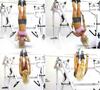 SPACERAIL Gravity Boots, Suspension Boots, Upside-Down Hanging Equipment, Abdominal and Back Training