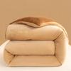 Sleeping grid milk velvet embroidery flower winter quilt core