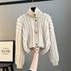 Turtleneck Sweater for Women Autumn Winter New Knitted Loose Short Cardigan Jacket Korean Top