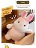 Big Belly Series Plush Toy: Koala, Capybara, Elephant, Dinosaur, Rabbit, Donkey