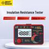CEM ST907 Digital Handheld Insulation Resistance Tester (1000V) (CN Version)
