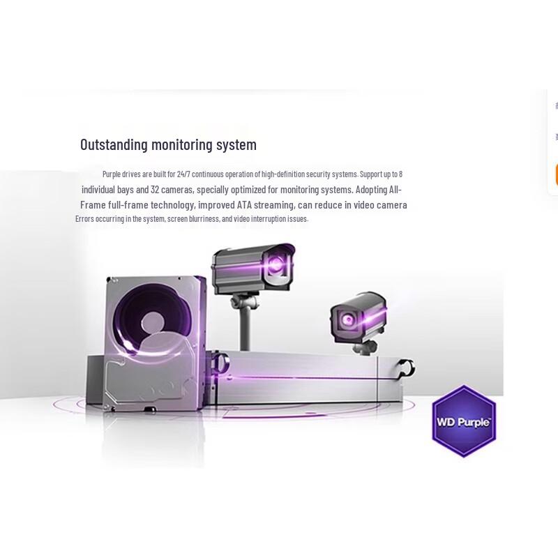 Hikvision WD 8TB Surveillance Hard Drive