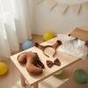 Squirrel Ears and Tail Set Cute Cartoon Design Costume Photo Prop Animal Headband