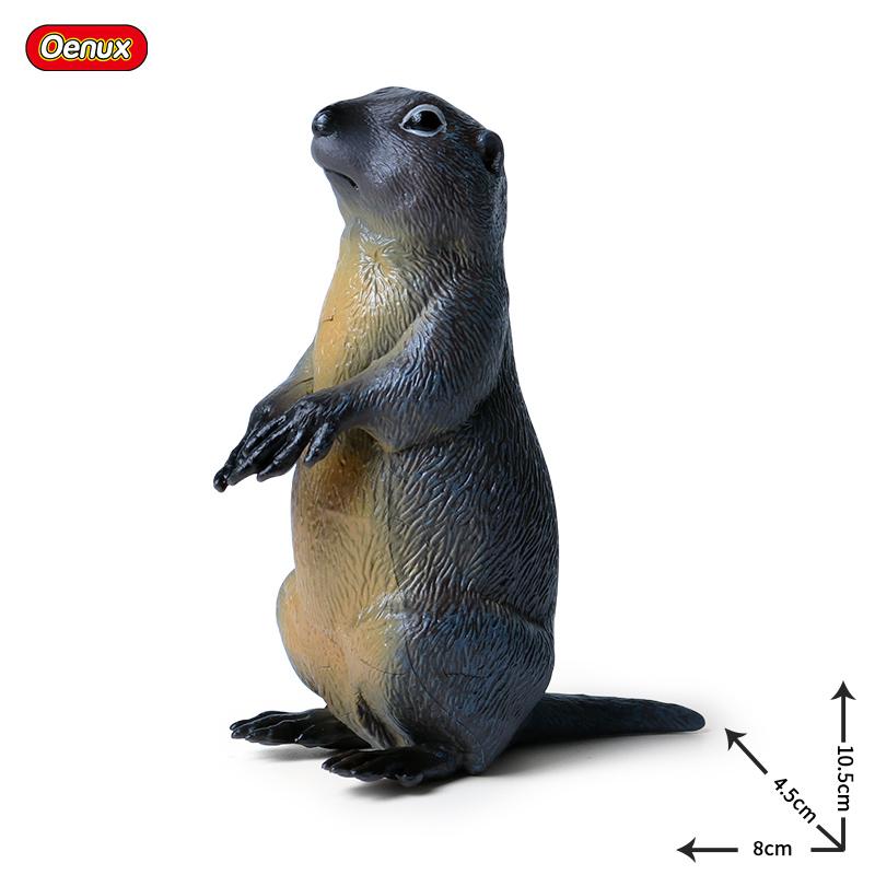 Oenux Simulation Wild Muroid Animal Squirre Mouse Sugar Glider lMarmot Rat Chinchilla Model Action Figures Lovely PVC Kids Toy