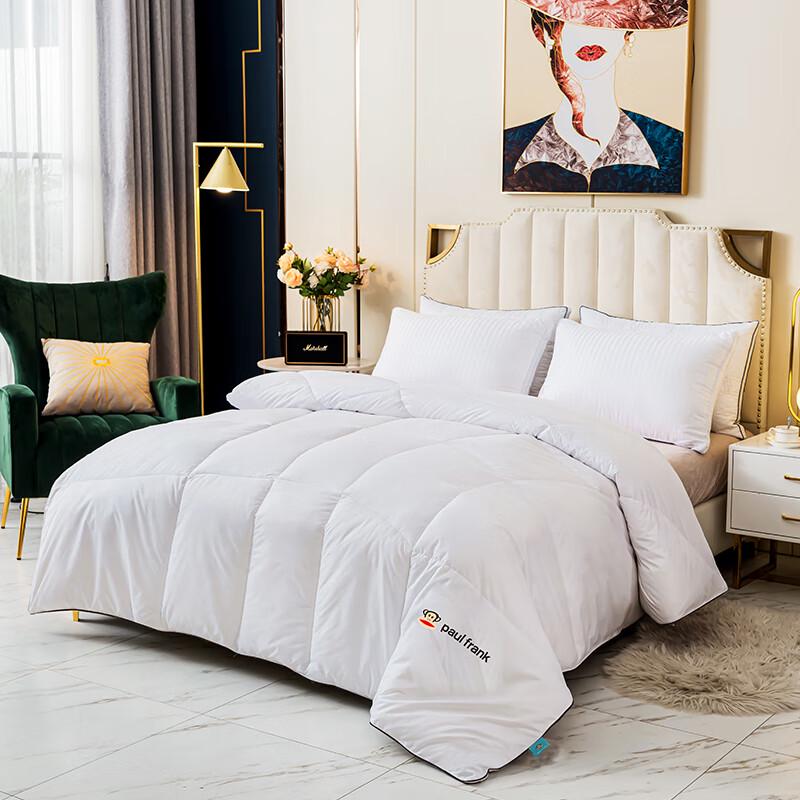 Paul Frank All-Season Polyester Fiber Duvet