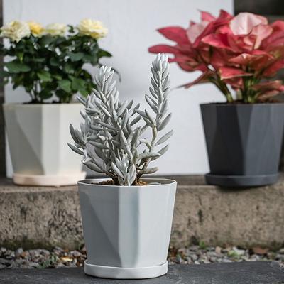 New Self Watering Lazy Plant Pot Including Liner with Handle Soil Flower Pot Garden Supplies Hydroponic Planter