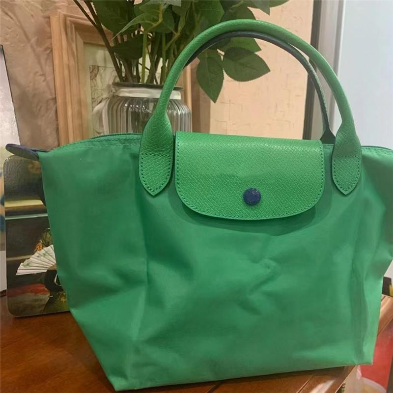 Unique Style Dumpling Large Nylon Shoulder Bag For Women With Ecofriendly Features In Hues Classic