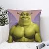 Polštářový potah Shrekův vtipný polštář Vlastní potah na polštář Novinka Povlak na polštář na pohovku ložnici domácí dekorace