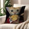 Funny Abstract Cat Cushion Cover Pillow Cover Decoration Room Home Sofa Living Office Car Nordic Simplicity