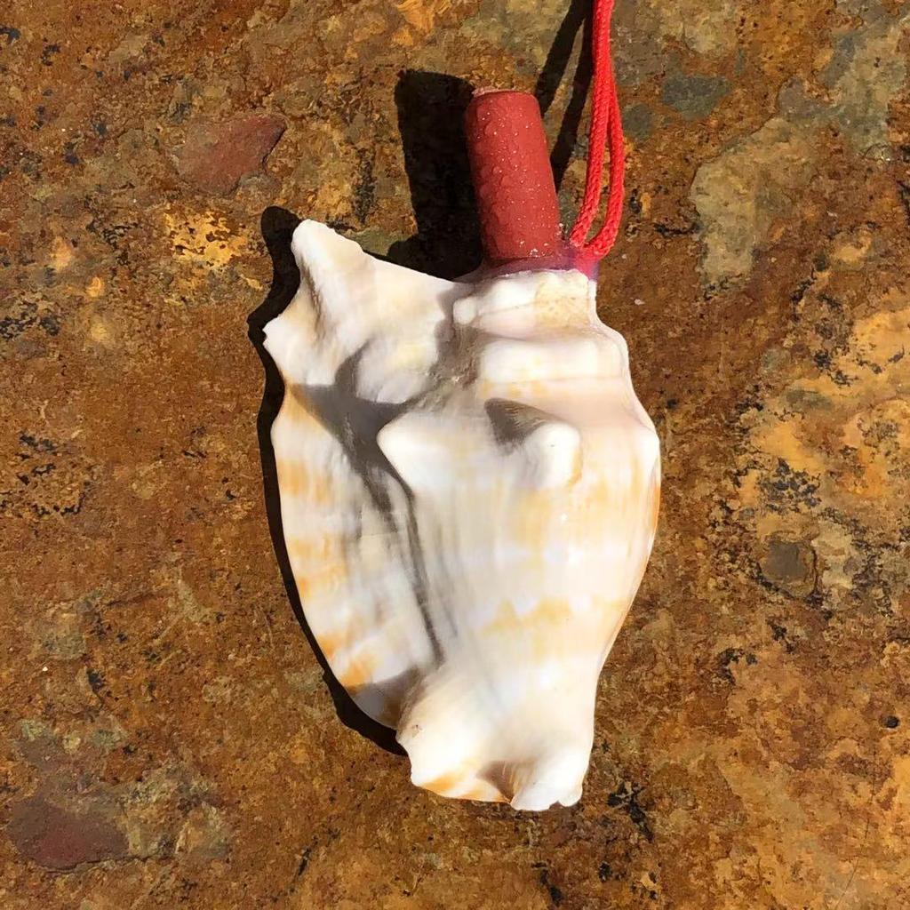 Street Stall Conch Shell Whistles & Toys: Creative Souvenirs