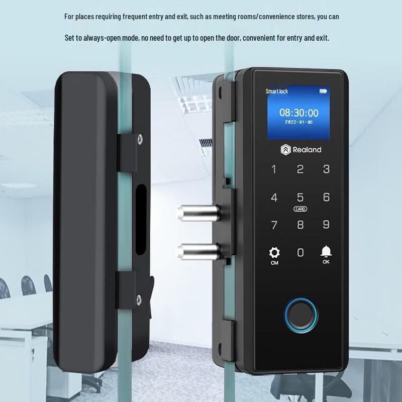Realand ZD208Y Smart Fingerprint Glass Door Lock CN plug (adapter included)