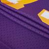 Mitchell & Ness NBA Lakers Dennis Rodman Basketball Jersey