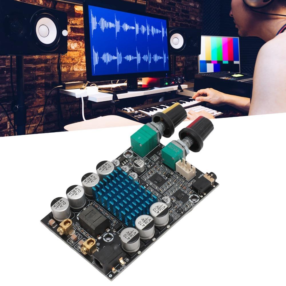 100W TPA3116 Subwoofer Amplifier Board 12-24V High Power Digital Amplifier for DIY Speaker
