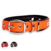 Collier Pour Chiens - PetTec - Classique - Imperméable - Flexible - Rembourré 30-40cm - Orange