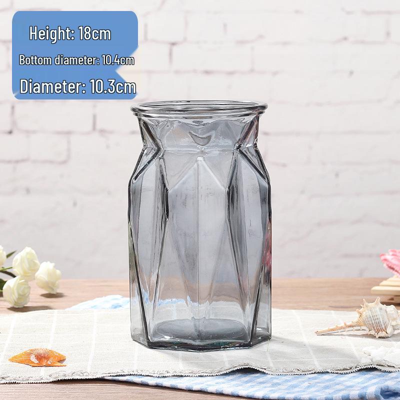 Modern European Glass Vase for Fresh or Dried Flowers - Hydroponic Desktop Ornament