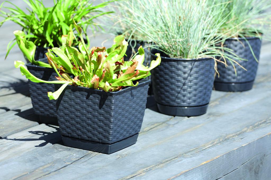 RATOLLA Square Flowerpot DRLK250 with Saucer | Anthracite