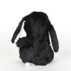 Lop-eared S Black