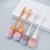 Pinceau Poudre Blush Or Rose Taille Petite - Poils Doux Outil de Beauté