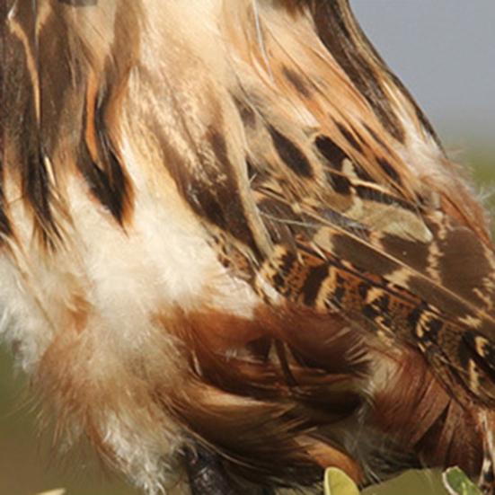 Boa coruja ornamento estátua artificial ecológica decoração de mesa