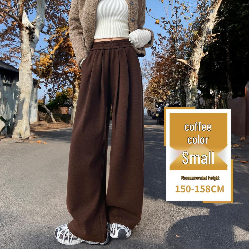 Women's Wide-Leg Glutinous Rice Pants - 2026 New Spring/Fall/Winter Plus Velvet Drape Wool Silk Blend Sweatpants