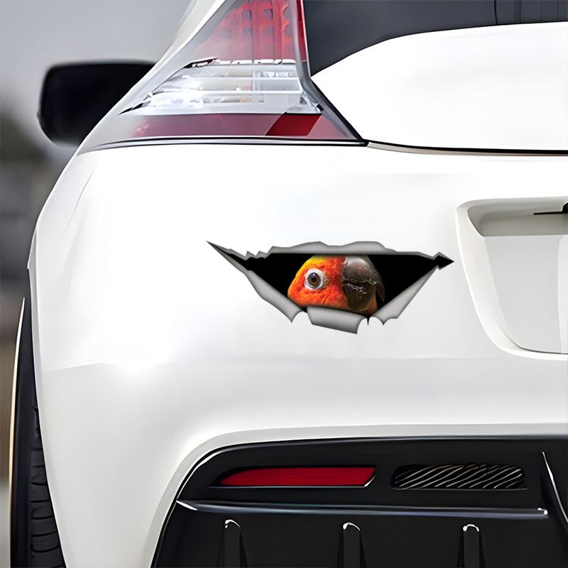 Güneş Konuru Papağanı Araba Çıkartmaları, Su Geçirmez Vinil Çıkartmalar, Araba Camları, Araba Tamponu, Araba Gövdesi için Dekoratif Aksesuarlar