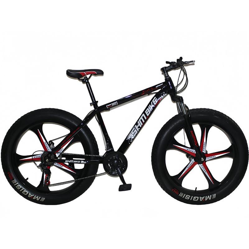 Snow Beach All-Terrain Mountain Bike: 26-inch, Large Tires, Gears, Double Disc Brakes & Suspension, In Stock