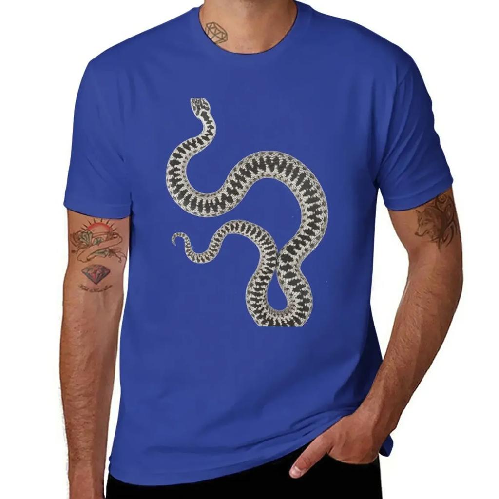 Vipera Berus Berus, Male T-Shirt New Edition Heavyweights Customs Design Your Own T Shirts for Men Graphic
