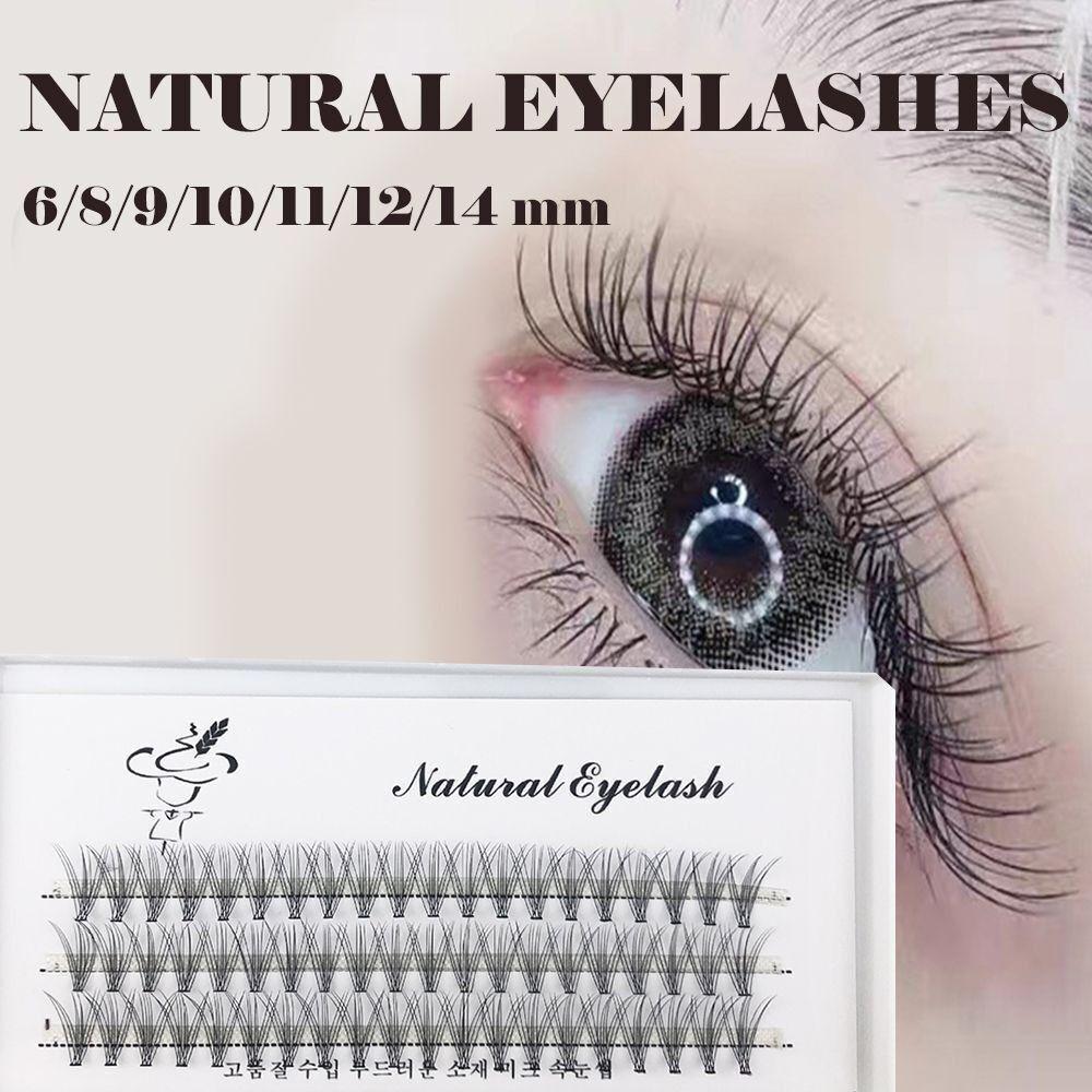

Thick Segmented Lashes Curl False Eyelash Fashion Eyelashes