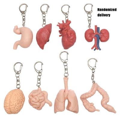 Kreative anatomische Schlüsselanhänger-Designs, um tiefe Emotionen auszudrücken. Begleiter für diejenigen, die Rückschläge in Beziehungen erleben.