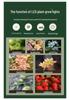 Premium LED Full Spectrum Grow Light for Seedlings & Succulents - Sunlight Simulation Smart Hydroponic System