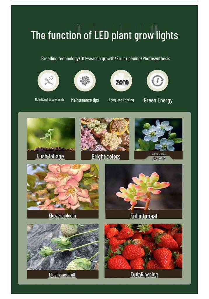 Premium LED Full Spectrum Grow Light for Seedlings & Succulents - Sunlight Simulation Smart Hydroponic System