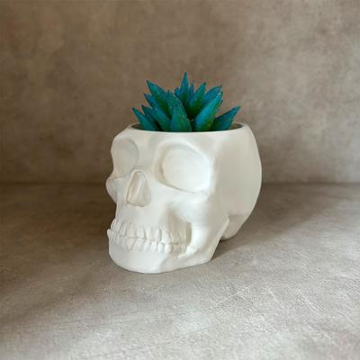 Schädel Blumentopf Sukkulenten Pflanztopf Kunststoff Pflanzgefäß Desktop Ornament Stiftebehälter Heim Garten Dekoration