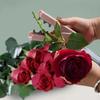 Rose Thorn Remover Flower Thorn Stem Leaf Stripper Rose Pincers Portable Florist Gardening Tools Bonsai Tools