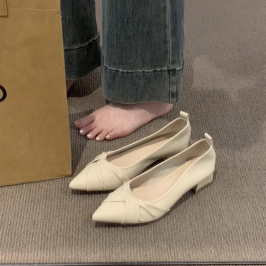 Fashion Single shoe women's shoes versatile shallow mouth thick heel 2025 Spring and Autumn new style with skirt temperament scoop shoes