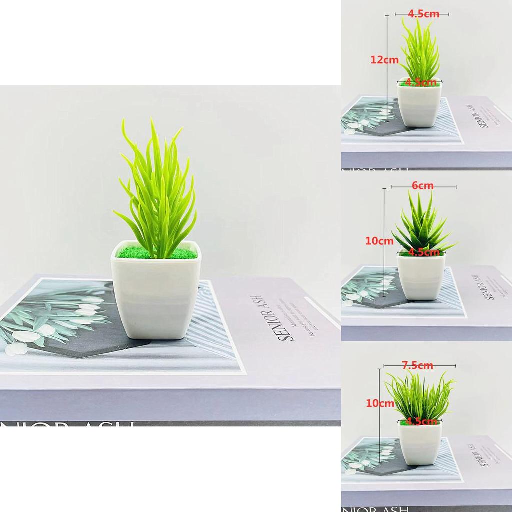 Simulierte Miniatur-Kaktussammlung mit Kunststoffmaterial für Schreibtischdeko und Geschenke