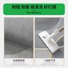 Household Entry Door Floor Mat Can Be Cut, Dirt-Resistant And Easy To Take Care Of, Entrance Door Floor Mat, Non-Slip Door Mat, Door Carpet