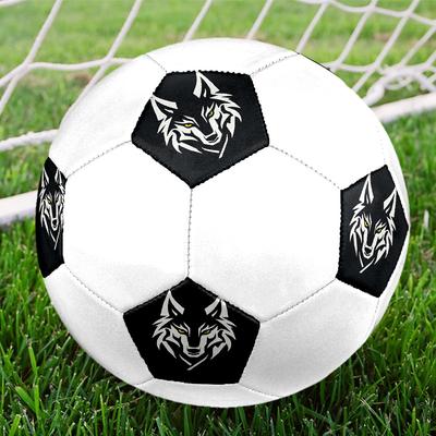 Fußball – Fußbälle