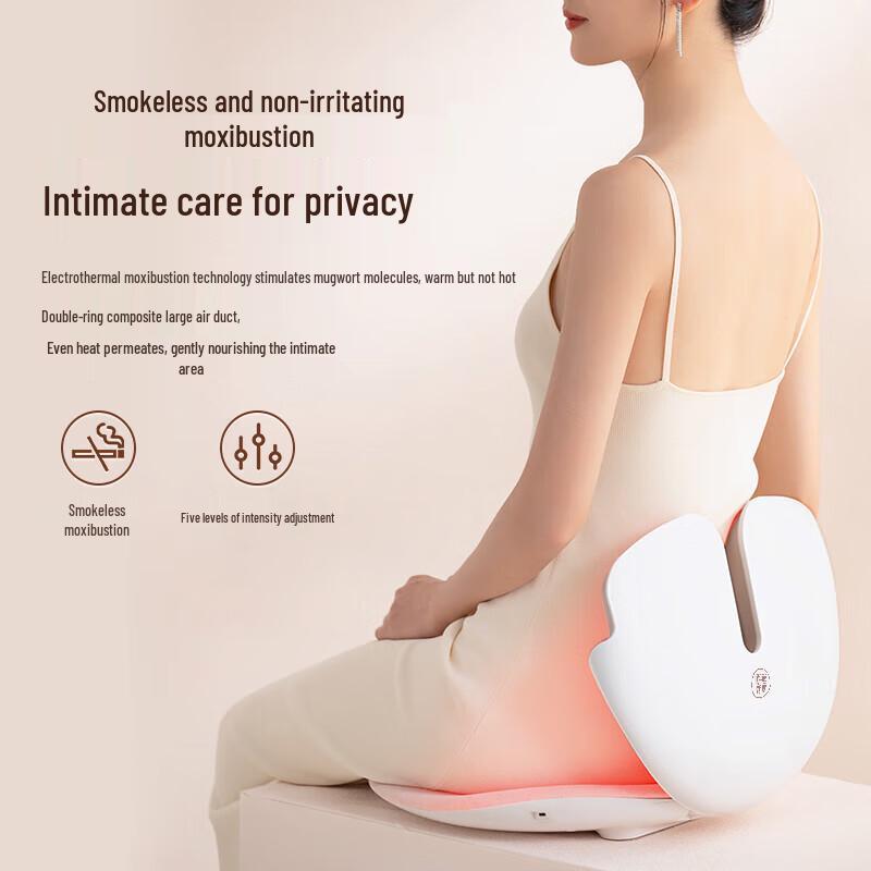 Smart Heated Moxibustion & Waist Massager