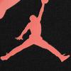 Jordan Women's Graphic T Shirt HJ0194-010