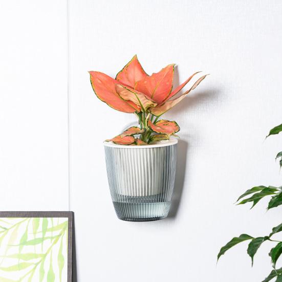Self Watering Wall Mounted Flower Pot Double-Layer Root-Rotproof Plant Pot with Transparent Water Level for Indoor Plants Balcony Office Decor