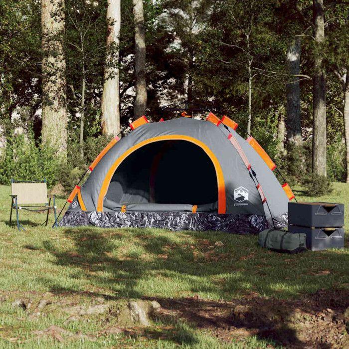VidaXL 3 Person Camping Tent, Shelter with Carry Bag, Camping Awning Garden Terrace, Grey and Orange 4004167