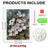 DIY Little White Flower Pearl Art Painting for Home Wall Decor Arts Craft  for Adults/Beginners Gift Idea Home Decor Without Frame