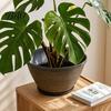 Pressure Resistant Garden Basin Resin Flower Planters, Vintage Plant Pot with Drainage Hole & Saucer, Lightweight Planter for Home Decor Indoor