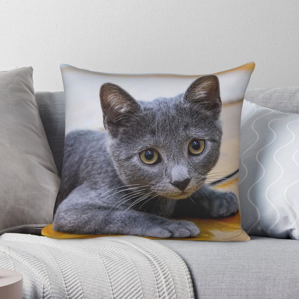 Russian Blue Cat Pillowcase Polyester Linen Velvet Printed Zip Decorative Pillow Case Sofa Seater Cushion Case Wholesale